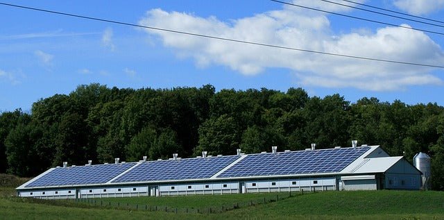 The Impact of Appliance Efficiency on Your Home's Energy Bill