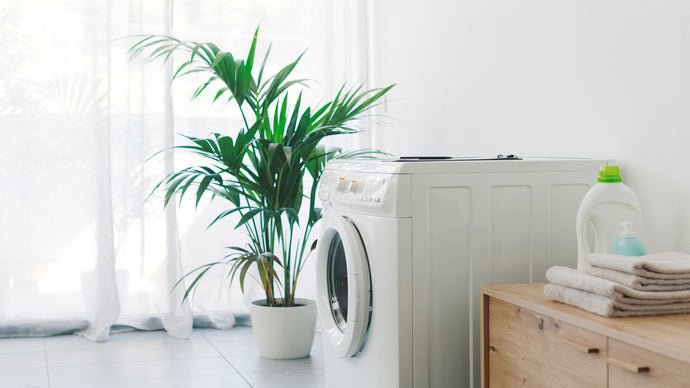 Choosing the Best Washing Machine