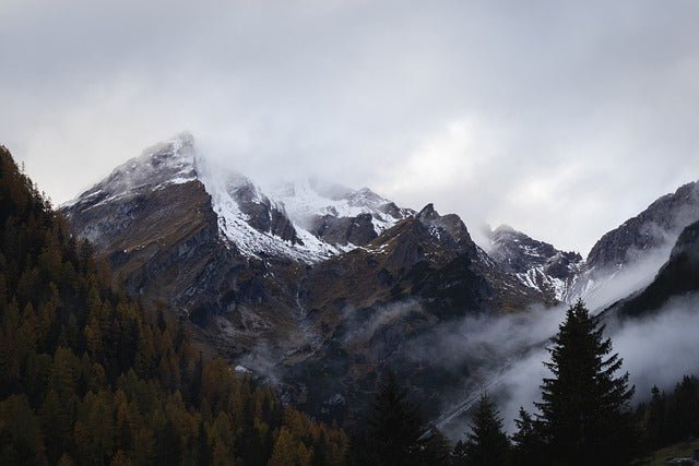 How to Choose the Perfect Range Hood for Your Kitchen - BonPrix Électroménagers