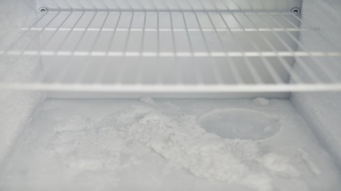 How to Prevent food freezing in your refrigerator - BonPrix Électroménagers