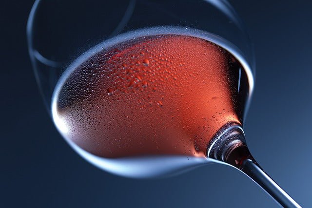 Wine Cooler vs. Mini Fridge: Which Is Right for You? - BonPrix Électroménagers