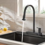 FORNO ACQUA 4 Function Waterfall  Pull-Down Kitchen Faucet Black