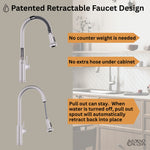 FORNO ACQUA 33 in. Drop-In/Undermount 40/60 Double Bowl Sink with Retractable Faucet & Waterfall - BonPrix Électroménagers