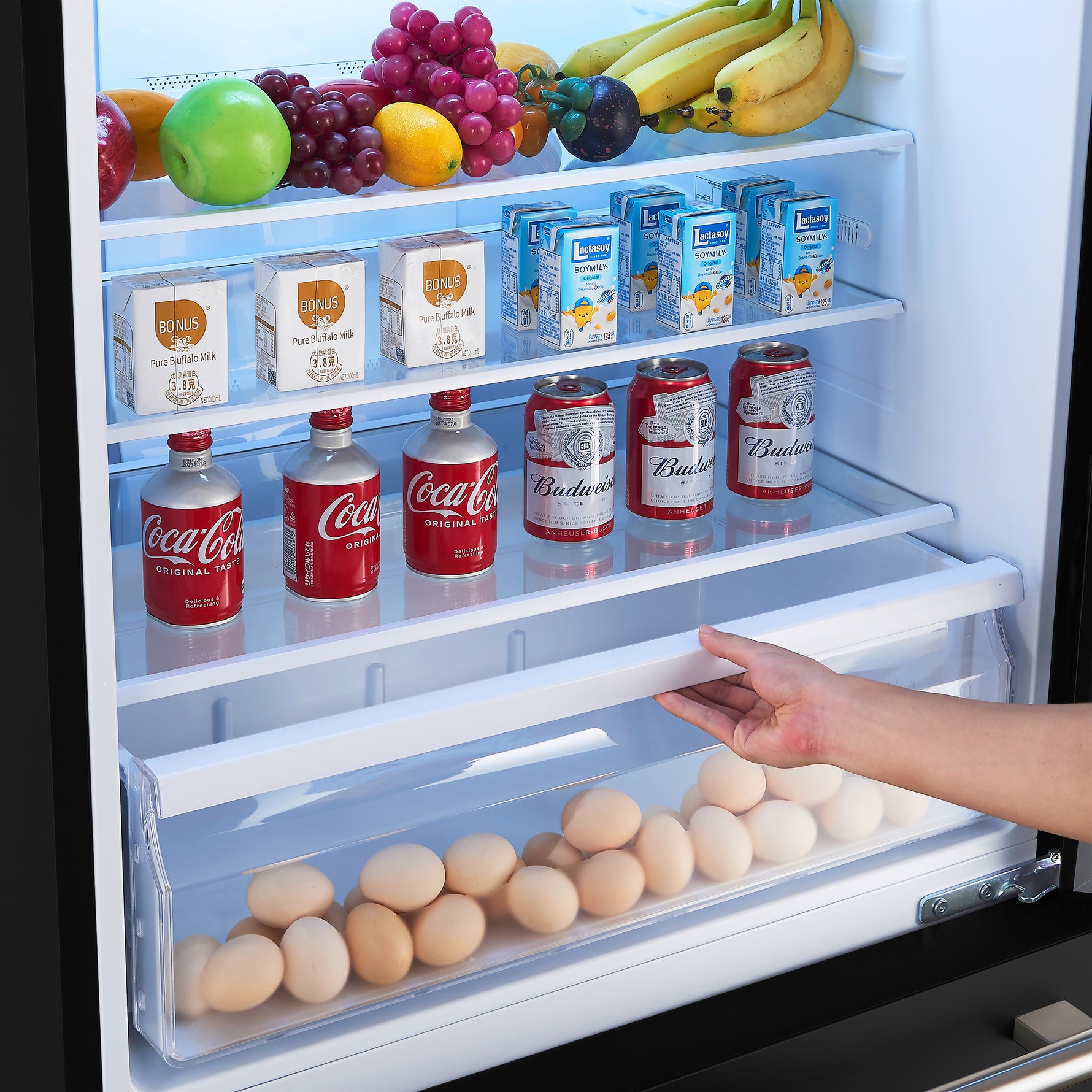 Forno Milano Espresso 31-Inch Bottom Freezer Refrigerator, Black, 17.2 cu.ft Capacity, Energy Efficient - BonPrix Électroménagers