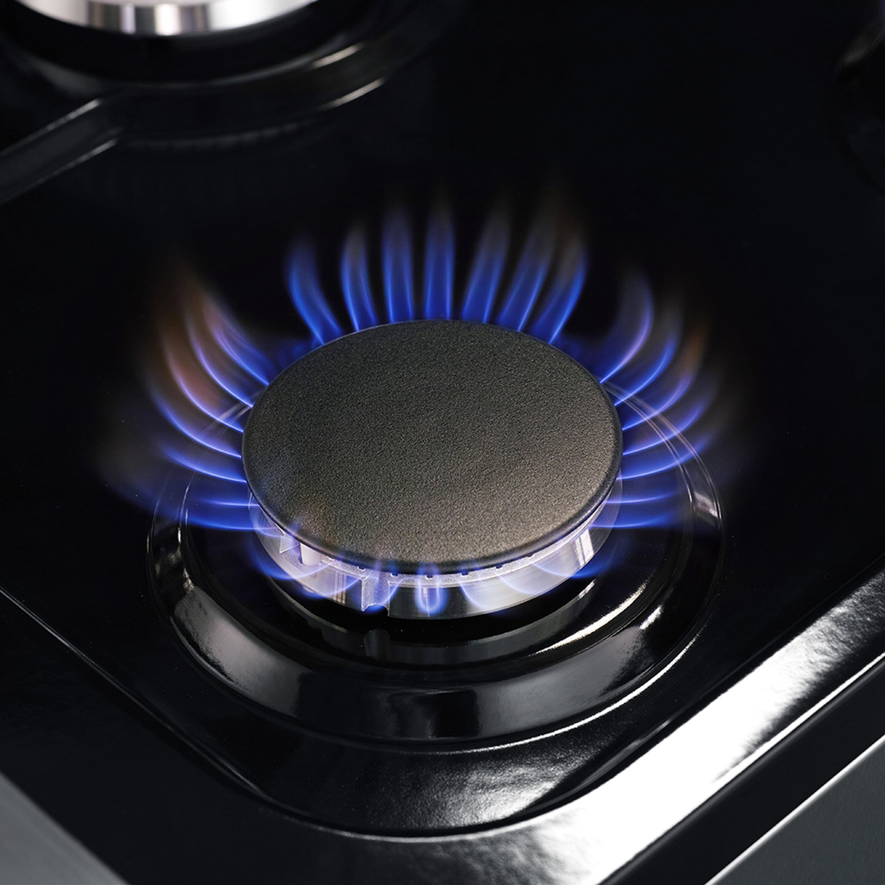Forno Massimo 48-Inch Freestanding Dual Fuel Range, 8 Burners, Double Convection Ovens - BonPrix Électroménagers