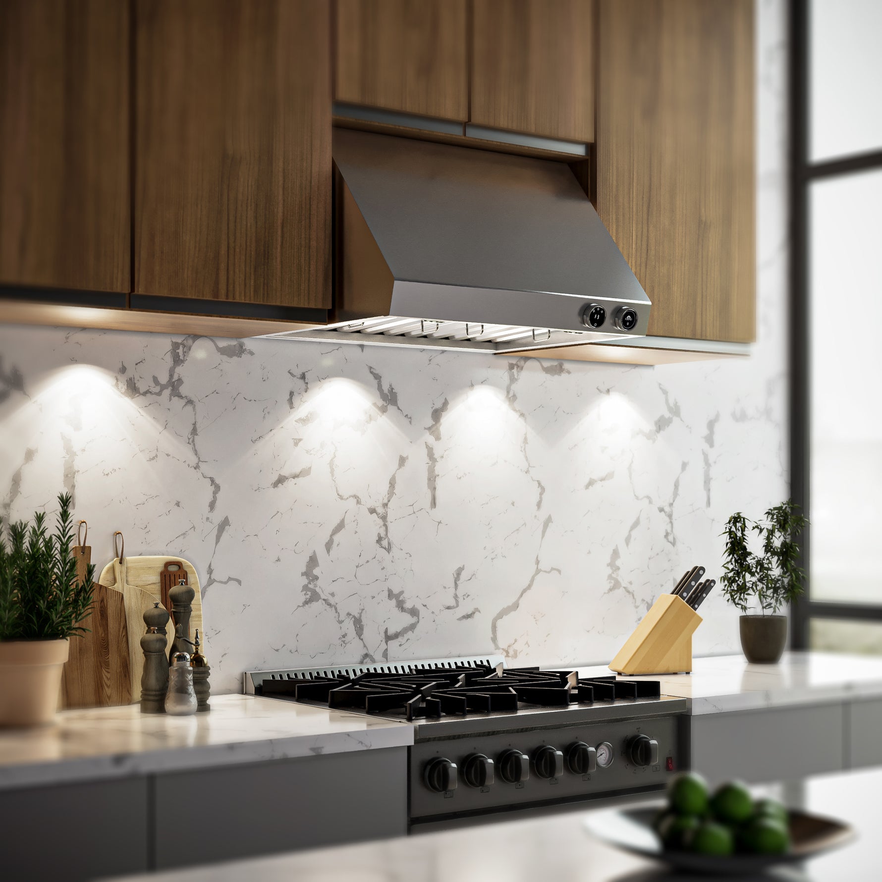 Forno Biagio 30-Inch Wall Mounted Range Hood, Stainless Steel, Heavy Duty - BonPrix Électroménagers