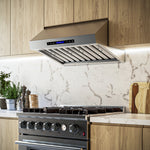 Forno Palazzo 30-Inch Wall Mounted Range Hood, Stainless Steel, Heavy Duty Baffle Filters, Remote Control - BonPrix Électroménagers
