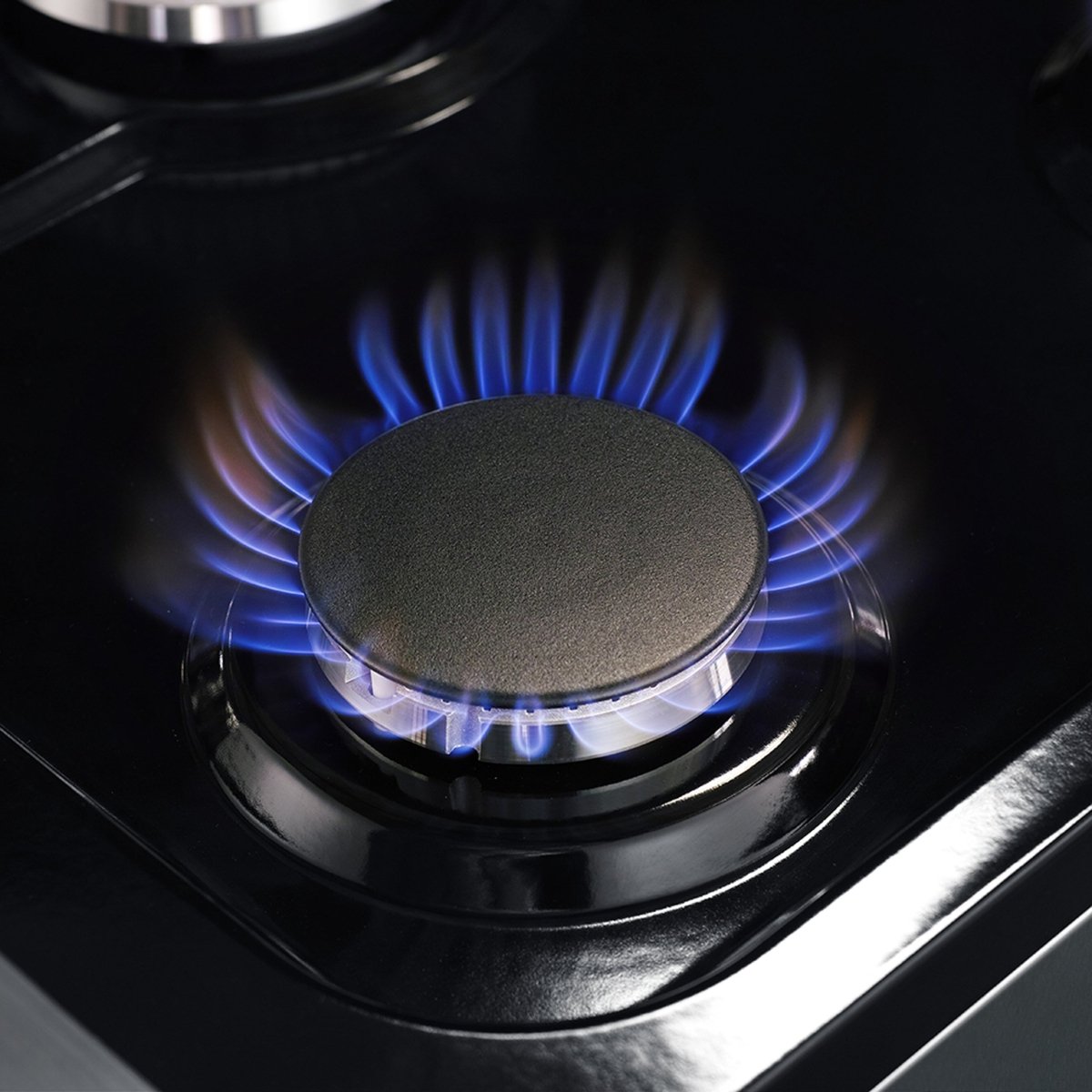 Forno Massimo 48-Inch Freestanding Dual Fuel Range, 8 Burners, Double Convection Ovens - BonPrix Électroménagers