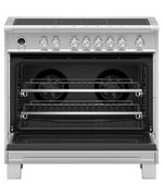 OR36SCI6X1 - RANGES - Fisher & Paykel - Electric - Stainless Steel - Open Box