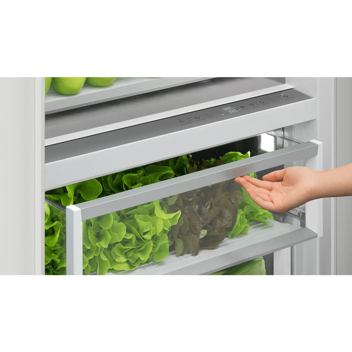 RS3084SRHK1 - REFRIGERATORS - Fisher & Paykel - All Refrigerator - Panel Ready - Open Box - BonPrix Électroménagers